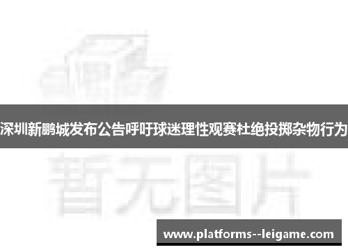 深圳新鹏城发布公告呼吁球迷理性观赛杜绝投掷杂物行为
